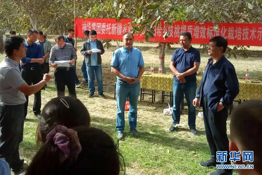 种植核桃致富视频_核桃种植收益怎么样_核桃种植技术视频教程