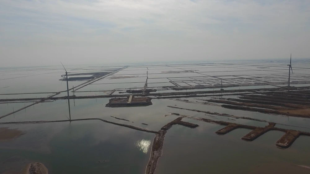 小对虾掀起现代海洋大产业！滨州北海经济开发区推动传统海洋产业