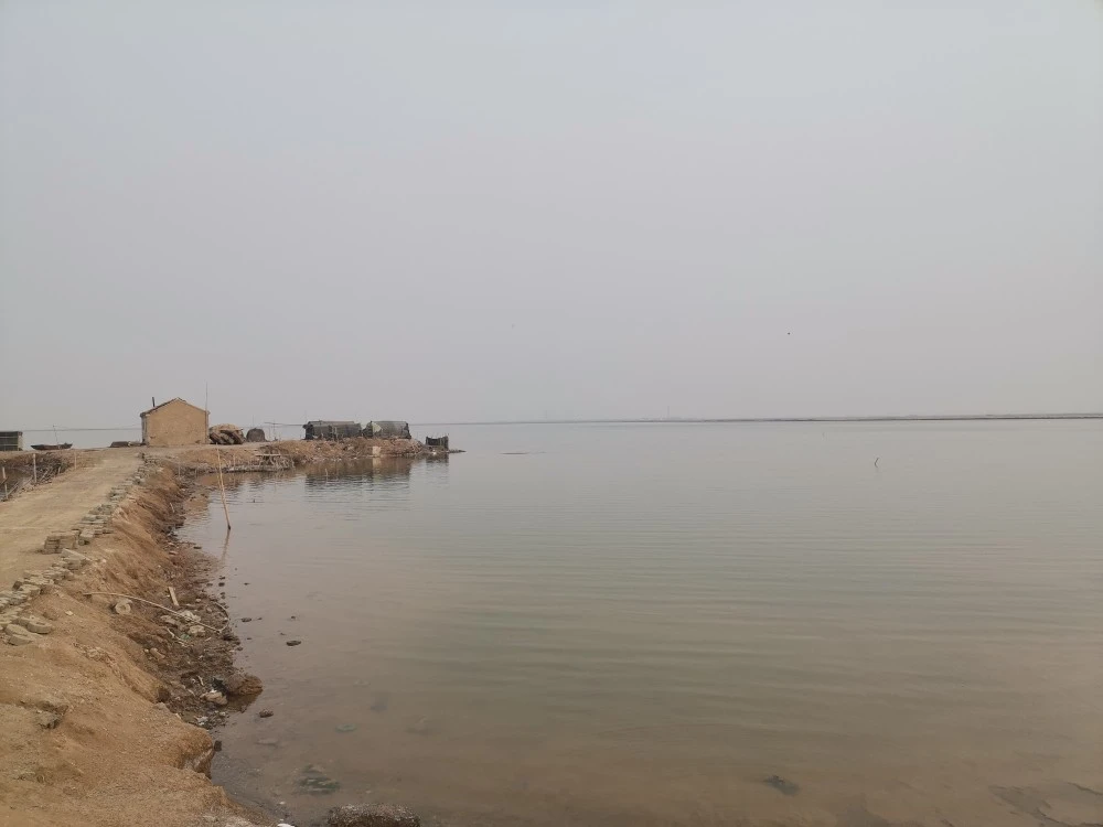 北海虾养殖技术_北海养虾基地_虾北海养殖技术视频
