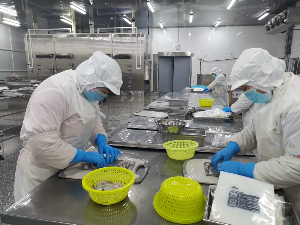 北海养虾基地_虾北海养殖技术视频_北海虾养殖技术