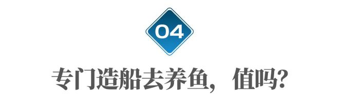 网箱养殖鱼苗_网箱养鱼技术视频_网箱养殖鮰鱼技术