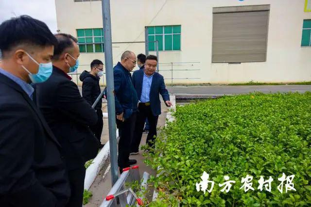 工厂化养虾视频_青虾工厂化养殖技术_科技苑养殖青虾视频