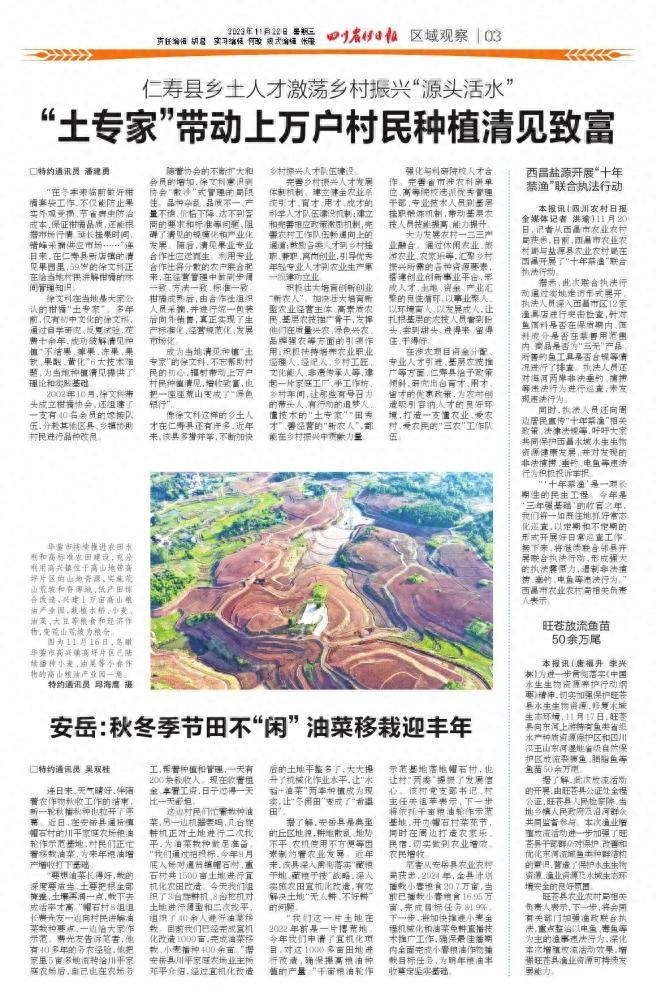 “土专家”带动上万户村民种植清见致富