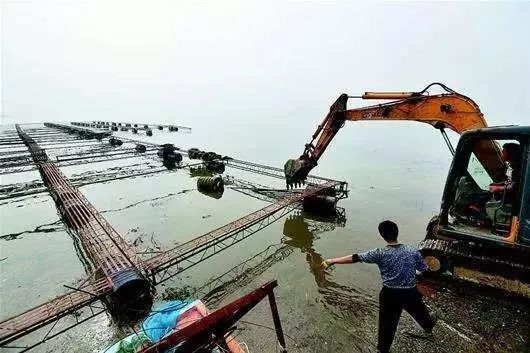 网箱养殖鱼苗_网箱养殖鮰鱼技术_网箱养鱼技术视频