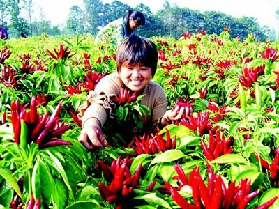 致富养殖增收图片高清_致富养殖信息_养殖增收致富图片