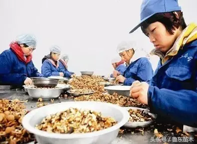 致富创业项目有哪些_致富经做豆腐厂_致富经创业项目豆制品