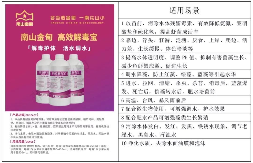 罗氏沼虾养殖的主要技术环节_罗氏沼虾养殖技术过程_最新罗氏沼虾养殖技术