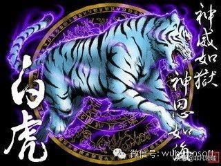 致富苗养殖壁虎好不好_致富苗养殖壁虎视频_致富经壁虎养殖苗