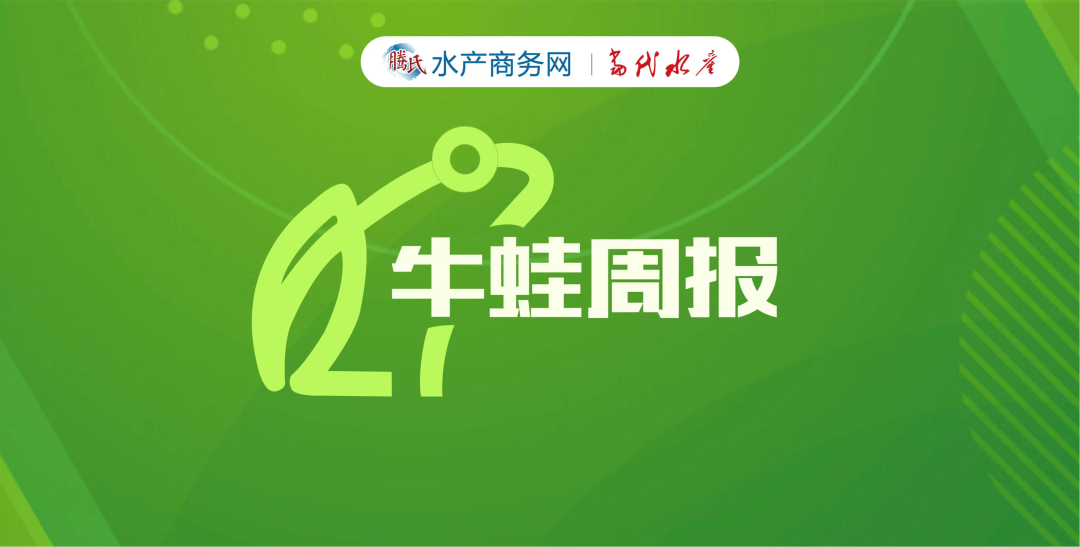 小四脚需求强烈！面对8元/斤的成蛙价，养殖户选择待价而沽