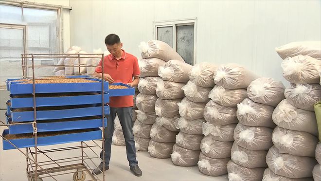致富经谢洪涛养殖黄粉虫_致富经谢洪涛养殖黄粉虫_致富经谢洪涛养殖黄粉虫