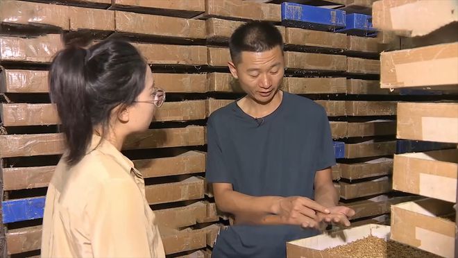 致富经谢洪涛养殖黄粉虫_致富经谢洪涛养殖黄粉虫_致富经谢洪涛养殖黄粉虫