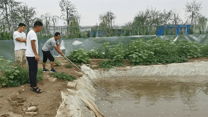 山东宠物养殖致富_山东搞养殖_山东宠物狗养殖基地