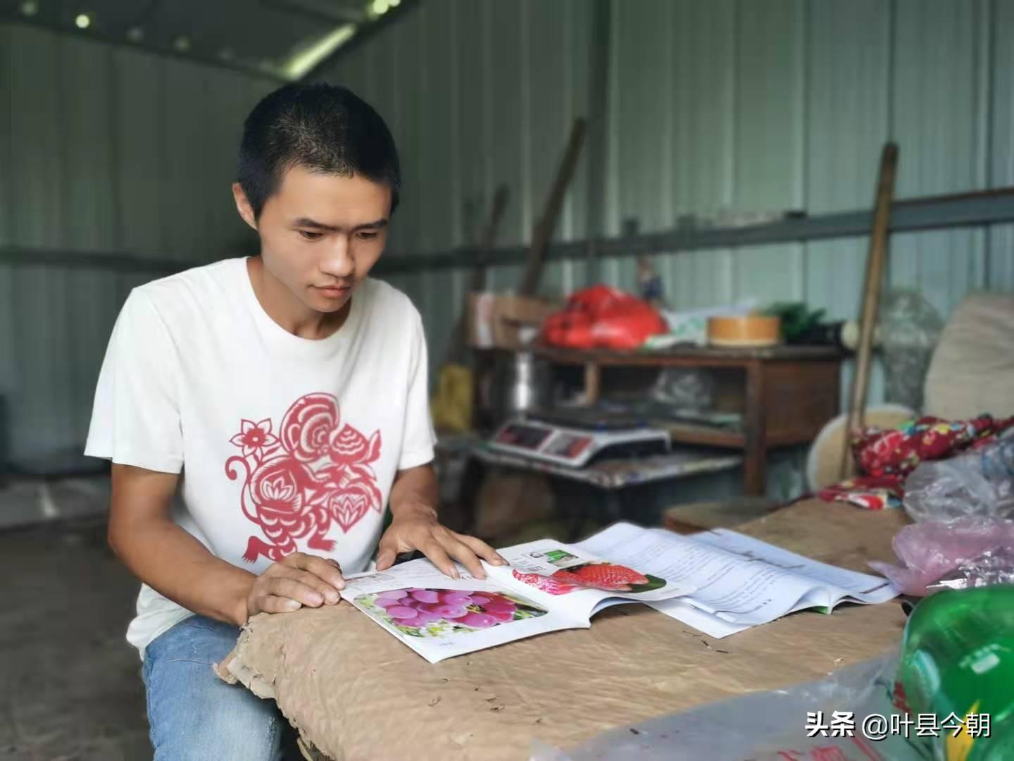 视频致富种植葡萄怎么做_致富经葡萄种植视频_致富经葡萄栽培技术视频