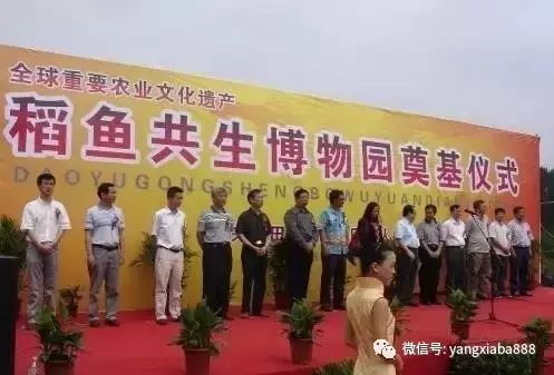 野生泥鳅黄鳝是保护动物吗_泥鳅黄鳝野生养殖技术_野生养殖泥鳅黄鳝技术要求