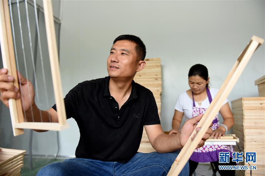致富经养蜂蜜全视频_致富经养蜂视频_致富经养蜂蜜视频