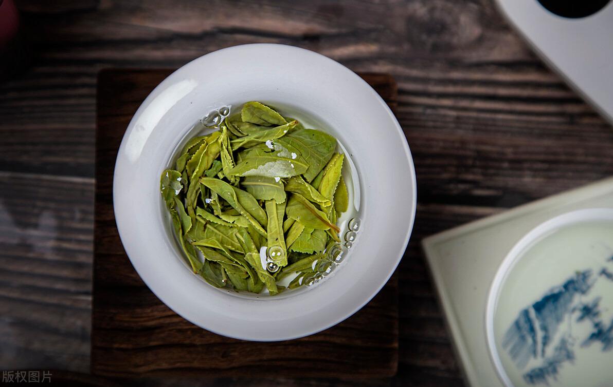 茶叶种植现代技术是指什么_现代茶叶种植技术是什么_茶叶种植新技术