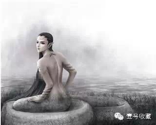 致富经壁虎养殖苗_致富苗养殖壁虎视频_致富苗养殖壁虎好吗