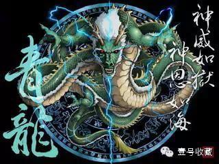 致富苗养殖壁虎视频_致富苗养殖壁虎好吗_致富经壁虎养殖苗