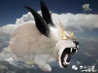 致富经壁虎养殖苗_致富苗养殖壁虎视频_致富苗养殖壁虎好吗