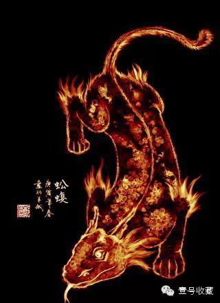 致富苗养殖壁虎好吗_致富苗养殖壁虎视频_致富经壁虎养殖苗