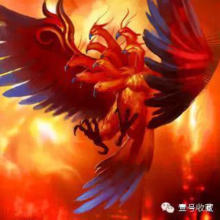 致富苗养殖壁虎好吗_致富经壁虎养殖苗_致富苗养殖壁虎视频
