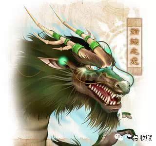 致富苗养殖壁虎视频_致富经壁虎养殖苗_致富苗养殖壁虎好吗
