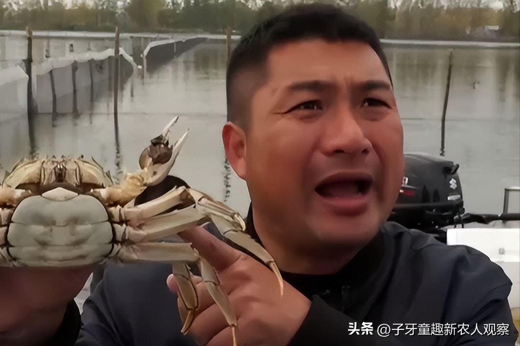 致富经螃蟹养殖视频_螃蟹视频致富养殖_螃蟹养殖视频教程
