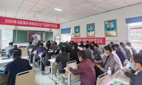 致富经阳光玫瑰_致富经 平阴玫瑰_致富玫瑰平阴店电话