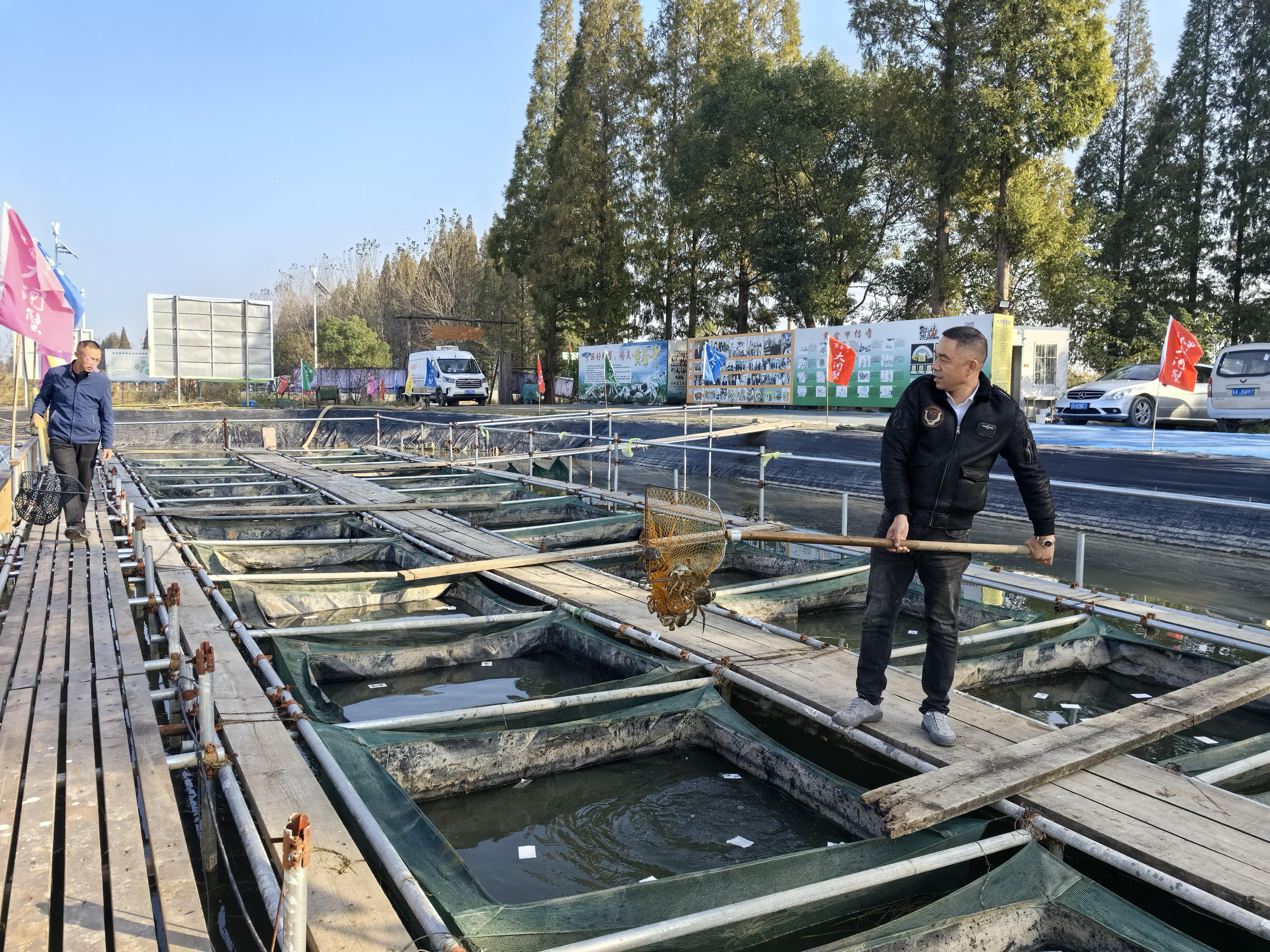 螃蟹视频致富养殖大师_螃蟹视频致富养殖_致富经螃蟹养殖视频