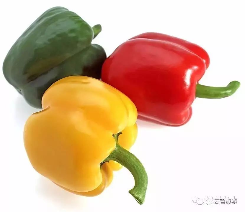 贵妃枣树种植方法_贵妃枣种植技术视频_贵妃枣栽培种植技术