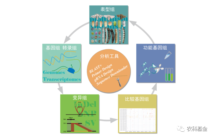 家蚕养殖新技术_养殖蚕的技术_家蚕养殖视频