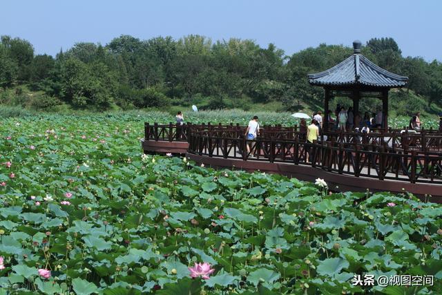 桂林一个村致富有绝学：从种稻谷到种“风景”