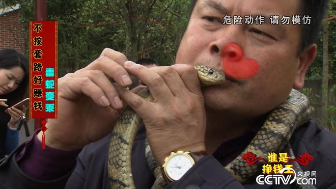 六畜兴旺贺新春 谁是挣钱王