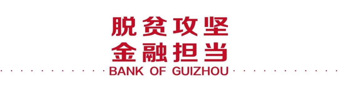 贵州银行1.1亿元贷款让旱地变水田
