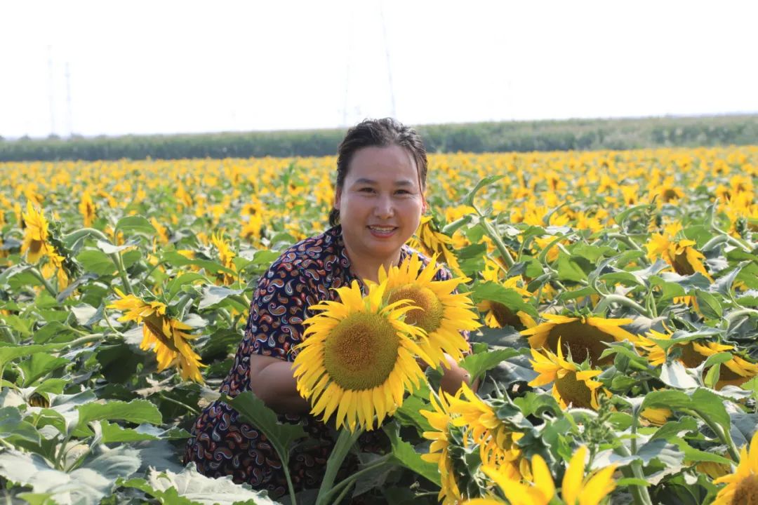 致富安居能种植人参吗_安居种植致富能人_致富安居能种植人参吗视频