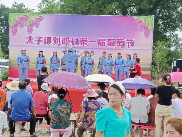 种植致富经_安居种植致富能人_致富安居能种植人参果吗