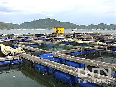 [致富经]多人登门拜访背后的财富真相(2010.8.12)