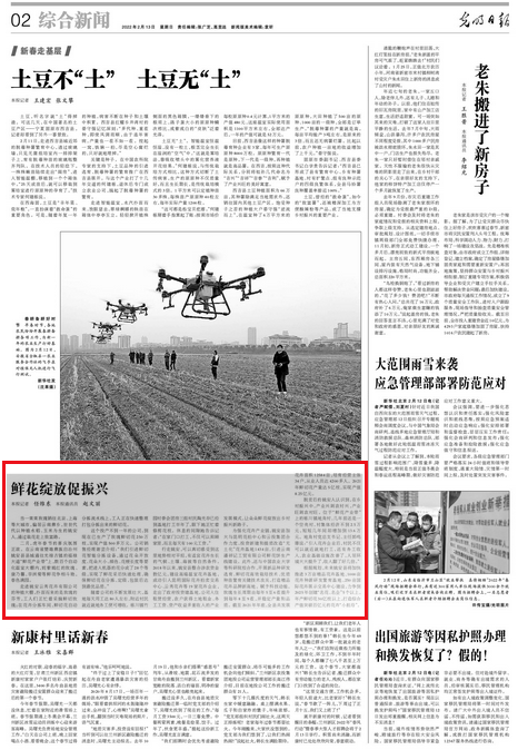 鲜花绽放促振兴 《光明日报》报道云南姚安：通过栽花走上致富路