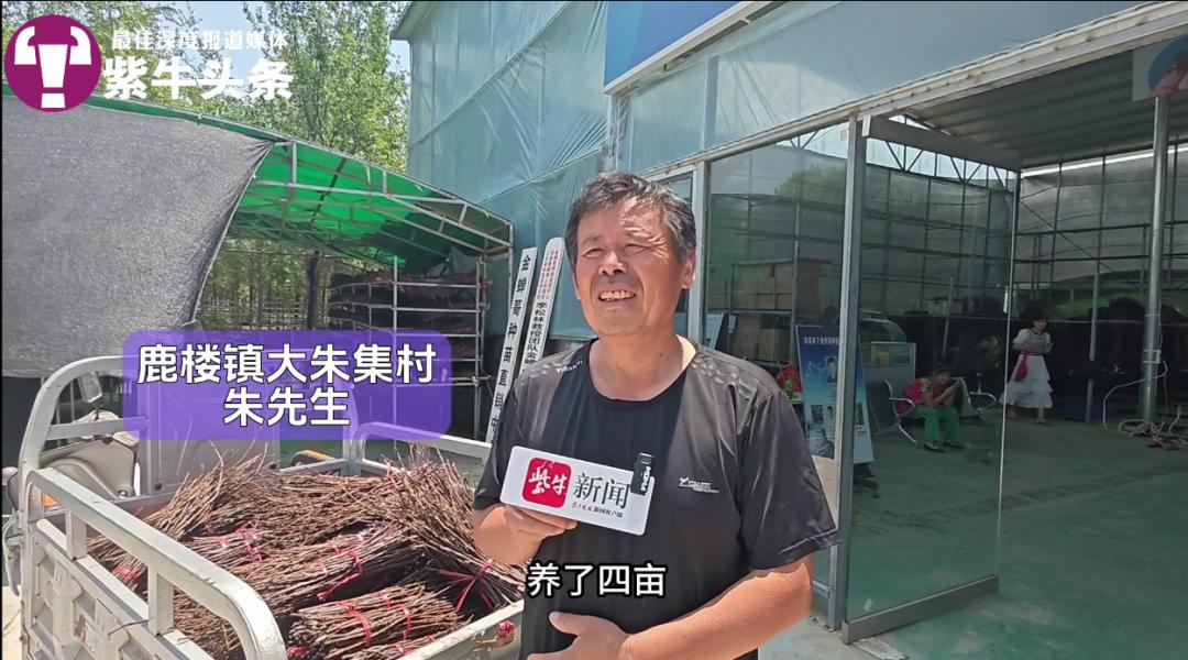 养殖金蝉技术管理_养殖金蝉管理技术规范_金蝉养殖技术与效益