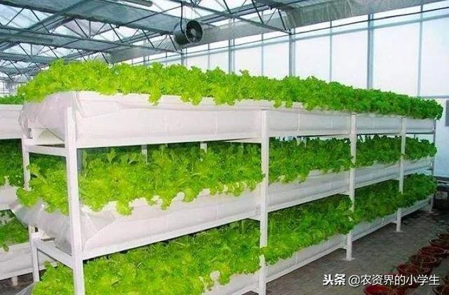 这才是真正的现代农业，太震撼了！