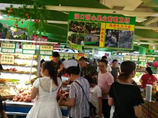 致富经种植视频无花果_种植无花果挣钱吗_致富经无花果种植视频