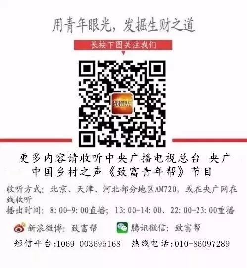 面包麦有多少品种_致富面包麦种植视频_面包麦种植致富