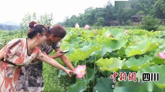 西充：残疾人家庭农场吸引“特殊客人”取致富经