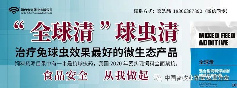 视频养殖兔子技术视频教程_视频养殖兔子技术教程_兔子的视频养殖技术