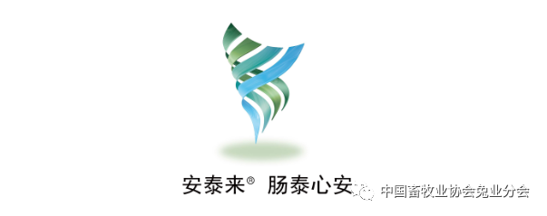 视频养殖兔子技术视频教程_兔子的视频养殖技术_视频养殖兔子技术教程