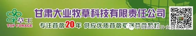 兔子的视频养殖技术_视频养殖兔子技术教程_视频养殖兔子技术视频教程