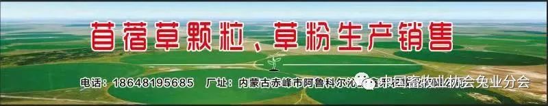 兔子的视频养殖技术_视频养殖兔子技术教程_视频养殖兔子技术视频教程