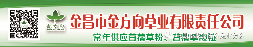 兔子的视频养殖技术_视频养殖兔子技术教程_视频养殖兔子技术视频教程