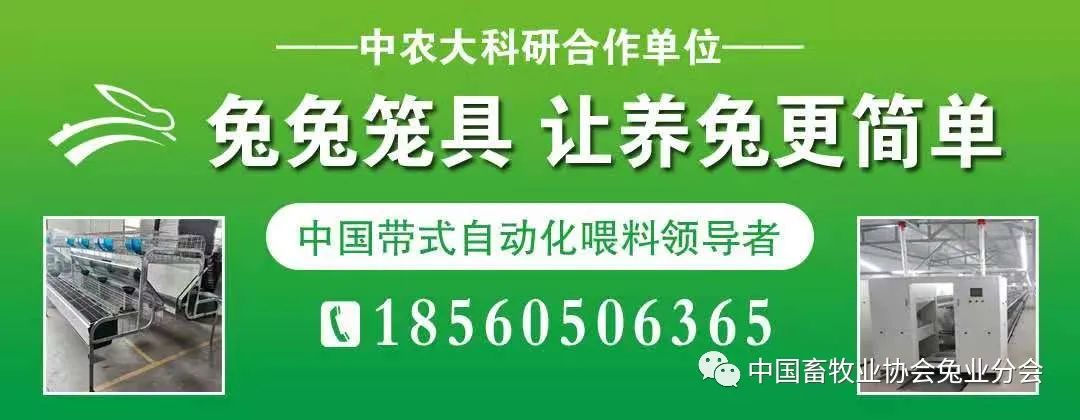 视频养殖兔子技术视频教程_视频养殖兔子技术教程_兔子的视频养殖技术