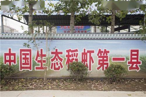 致富经室内养虾视频_致富虾养殖_致富经养殖虾